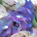 Purple and White flower abstract Photograph by Phillip Rubino Purple and White flower abstract Photograph by Phillip Rubino