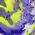 Purple and Yellow Photograph by Steve DaPonte Purple and Yellow Photograph by Steve DaPonte