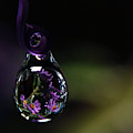 Purple Dreams Photograph by Michelle Wermuth Purple Dreams Photograph by Michelle Wermuth