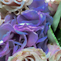 Purple flower and White flower abstract Photograph by Phillip Rubino Purple flower and White flower abstract Photograph by Phillip Rubino