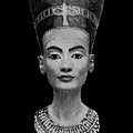 queen Nefertiti Digital Art by Cu Biz queen Nefertiti Digital Art by Cu Biz