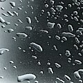 Rain Drops On Dark Sheet by Norman Burnham Rain Drops On Dark Sheet by Norman Burnham