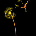 Rainbow Leap Digital Art by Sassan Filsoof Rainbow Leap Digital Art by Sassan Filsoof