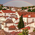 Rainbow over Castle Photograph by David Letts Rainbow over Castle Photograph by David Letts