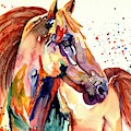 Rainy Horse by Suzann Sines Rainy Horse by Suzann Sines