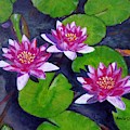 Rancho Waterlilies Painting by Amelie Simmons Rancho Waterlilies Painting by Amelie Simmons
