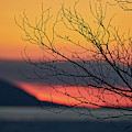 Reach for the Sky Photograph by Doug Gibbons Reach for the Sky Photograph by Doug Gibbons