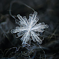 Real snowflake - 18-Dec-2018 - 3 by Alexey Kljatov
