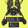 Rebel dog II Mixed Media by Balazs Solti Rebel dog II Mixed Media by Balazs Solti