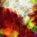 Red and white flower motion abstract Photograph by Phillip Rubino Red and white flower motion abstract Photograph by Phillip Rubino