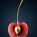 Red Cherry Still Life by Johan Swanepoel Red Cherry Still Life by Johan Swanepoel