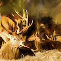 Red Deer Stag Painting Digital Art by Rick Deacon Red Deer Stag Painting Digital Art by Rick Deacon