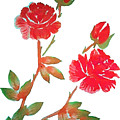 Red Rose Watercolor Transparent Background Painting by Delynn Addams Red Rose Watercolor Transparent Background Painting by Delynn Addams