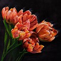 Red Tulips Painting by Jeanette Ferguson Red Tulips Painting by Jeanette Ferguson