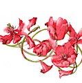 Red Tulips Vignette Painting by Ina Petrashkevich Red Tulips Vignette Painting by Ina Petrashkevich