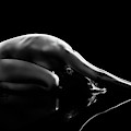 Reflections Of D'nell 6 by Johan Swanepoel Reflections Of D'nell 6 by Johan Swanepoel