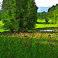 Refuge by Robert Bissett Refuge by Robert Bissett