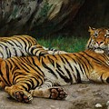 Resting Tigers Painting by Geza Vastagh