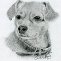Rita by Carol Morris