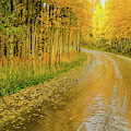 Road To Oz Photograph by Johnny Boyd Road To Oz Photograph by Johnny Boyd