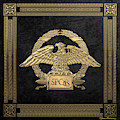 Roman Empire - Gold Roman Imperial Eagle over Black Velvet Digital Art by Serge Averbukh Roman Empire - Gold Roman Imperial Eagle over Black Velvet Digital Art by Serge Averbukh