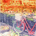 Rome 4 Photograph by Becqi Sherman Rome 4 Photograph by Becqi Sherman