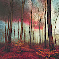 Ruby Red Evening by Dirk Wuestenhagen Ruby Red Evening by Dirk Wuestenhagen