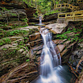 Sabbaday Falls by Robert Clifford