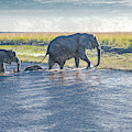 Safe Crossing Photograph by Marcy Wielfaert Safe Crossing Photograph by Marcy Wielfaert