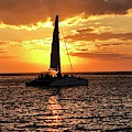 Sailboat Silhouette Sunset in Captiva Island Florida 2019 Photograph by Shelly Tschupp Sailboat Silhouette Sunset in Captiva Island Florida 2019 Photograph by Shelly Tschupp