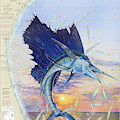 Sailfish Chart by Mark Ray