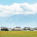 Salt Lake Suburb by Andy Romanoff