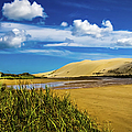 90 Miles Beach, New Zealand Photograph by Lyl Dil Creations 90 Miles Beach, New Zealand Photograph by Lyl Dil Creations