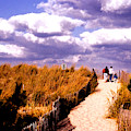 Sand Dunes, Cape Henlopen Photograph by Steve Ember Sand Dunes, Cape Henlopen Photograph by Steve Ember