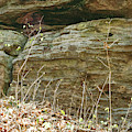 Sandstone Wall Photograph by Phil Perkins Sandstone Wall Photograph by Phil Perkins