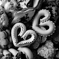 Sardinian Pastry by Paola Baroni Sardinian Pastry by Paola Baroni