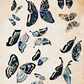 Scrapbook butterflies Photograph by Jorgo Photography Scrapbook butterflies Photograph by Jorgo Photography