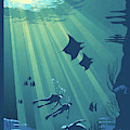 Scuba Dive Painting by Sassan Filsoof Scuba Dive Painting by Sassan Filsoof