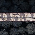Sea Urchin Contrast Obi Print Digital Art by Sand And Chi Sea Urchin Contrast Obi Print Digital Art by Sand And Chi