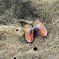 Landscape Photography - Beaches Photograph by Amelia Pearn Landscape Photography - Beaches Photograph by Amelia Pearn
