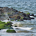 Seashore Photograph by Paul Ross Seashore Photograph by Paul Ross