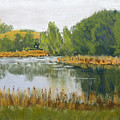 Serene Reflections by Jayne Wilson
