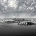 Serenity Before The Storm Photograph by DB Hayes Serenity Before The Storm Photograph by DB Hayes