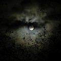 Shadow Moon Photograph by Linda Stern Shadow Moon Photograph by Linda Stern