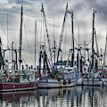 Shem Creek Saltwater Cowboys Photograph by Dale Powell Shem Creek Saltwater Cowboys Photograph by Dale Powell
