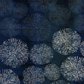 Shibori Sea Urchin Burst Pattern Dark Denim Digital Art by Sand And Chi Shibori Sea Urchin Burst Pattern Dark Denim Digital Art by Sand And Chi