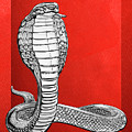 Silver King Cobra on Red Canvas Digital Art by Serge Averbukh Silver King Cobra on Red Canvas Digital Art by Serge Averbukh