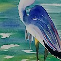 Sir Blue Painting by Ann Frederick Sir Blue Painting by Ann Frederick