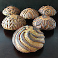 Six Score Sourdough Sampler 2 Photograph by Amy E Fraser Six Score Sourdough Sampler 2 Photograph by Amy E Fraser