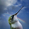 Sky Trooper by Jerry LoFaro Sky Trooper by Jerry LoFaro